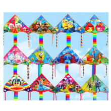 Promotional Modern Kite, Cartoon Gift Kites, Stunt Kite